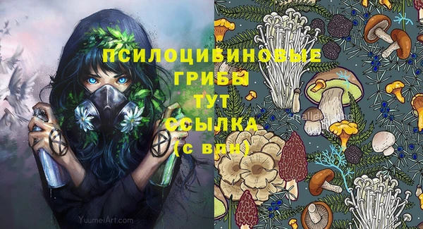 винт Гусиноозёрск