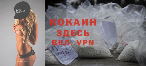 винт Гусиноозёрск