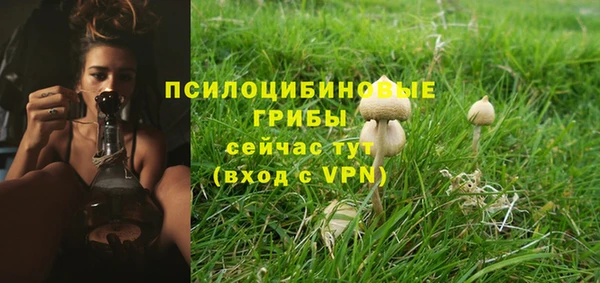 гашиш Гусь-Хрустальный