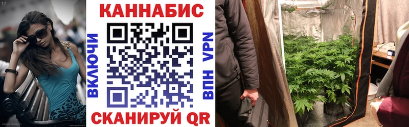 Бошки марихуана Amnesia Задонск
